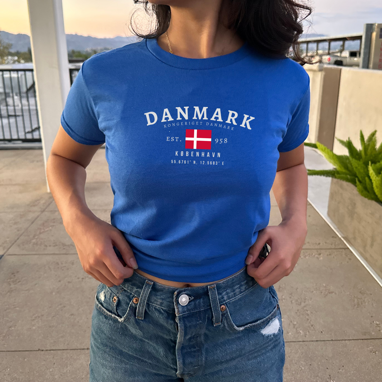 Denmark Baby Tee