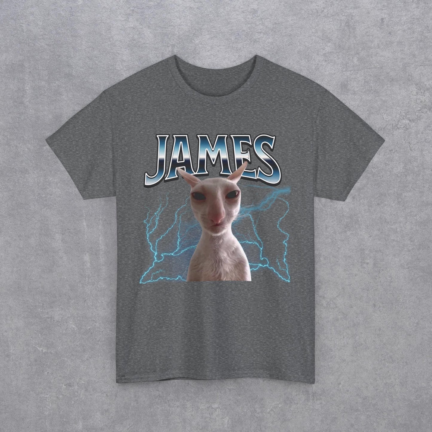 James Funny Cat Meme Unisex T-Shirt - Heavy Cotton Tee