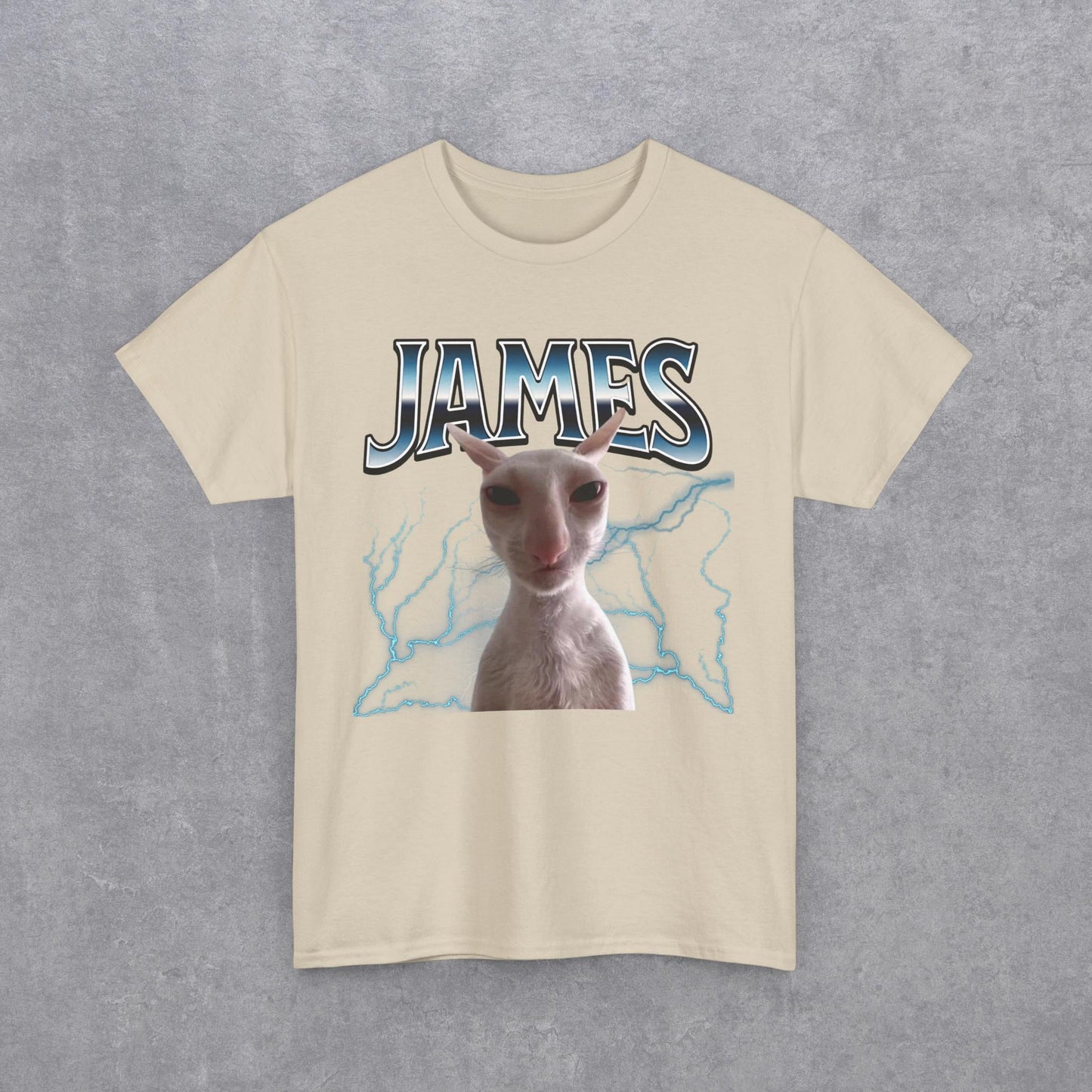 James Funny Cat Meme Unisex T-Shirt - Heavy Cotton Tee