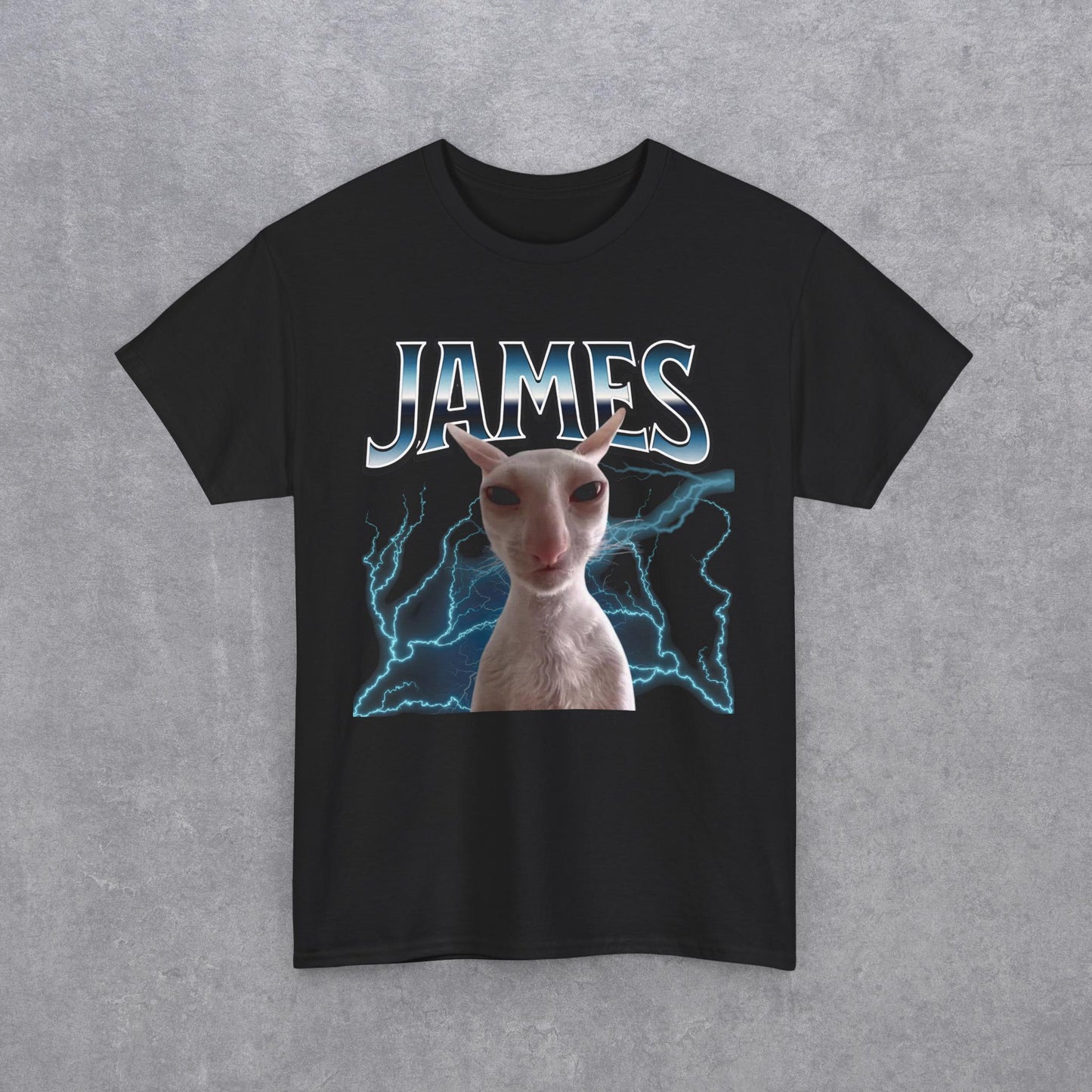 James Funny Cat Meme Unisex T-Shirt - Heavy Cotton Tee