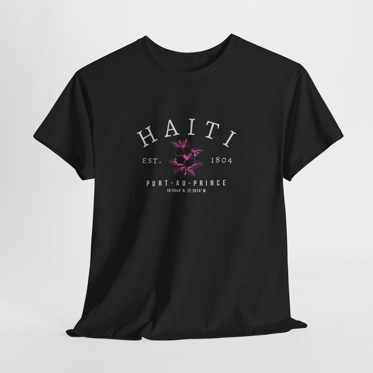 Haiti Flag T-Shirt