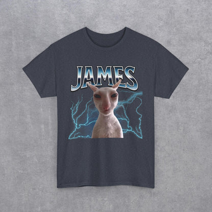 James Funny Cat Meme Unisex T-Shirt - Heavy Cotton Tee