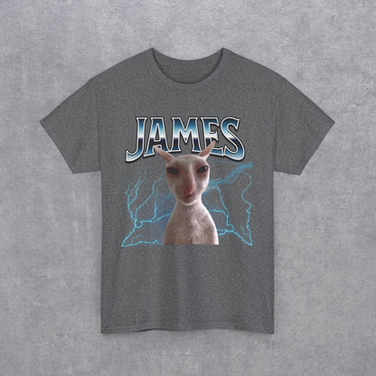 James Funny Cat Meme Unisex T-Shirt - Heavy Cotton Tee