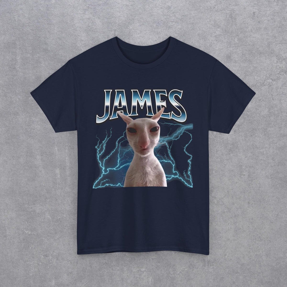 James Funny Cat Meme T-Shirt