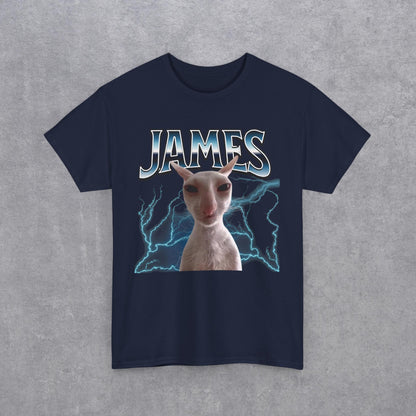James Funny Cat Meme T-Shirt