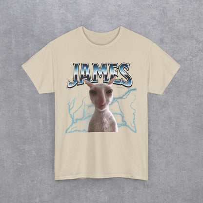 James Funny Cat Meme Unisex T-Shirt - Heavy Cotton Tee