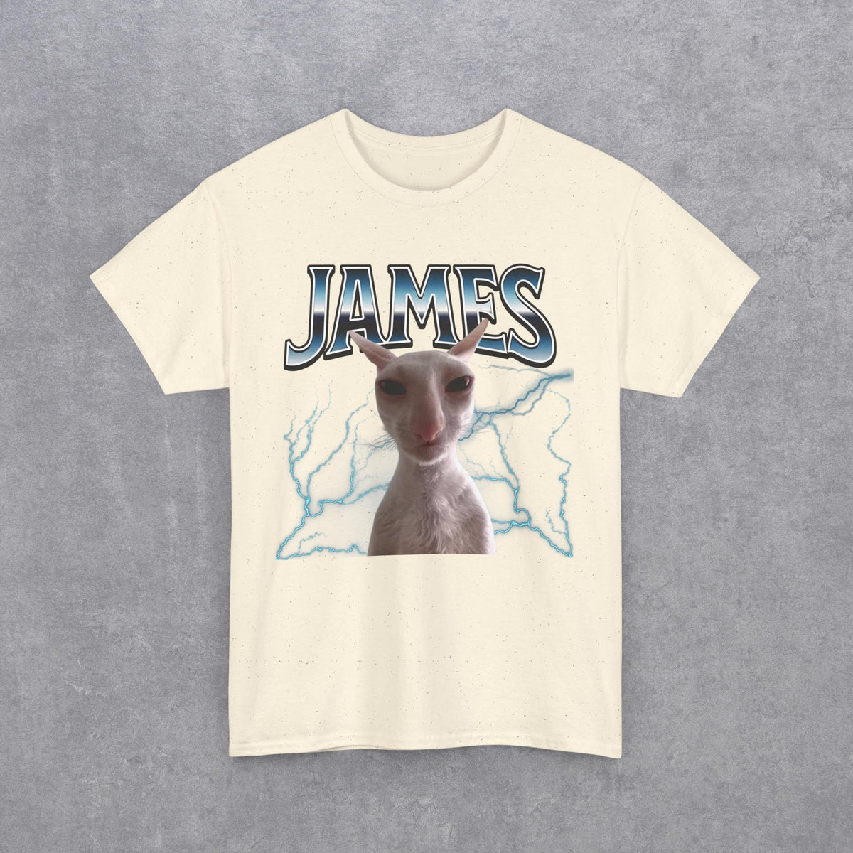 James Funny Cat Meme T-Shirt