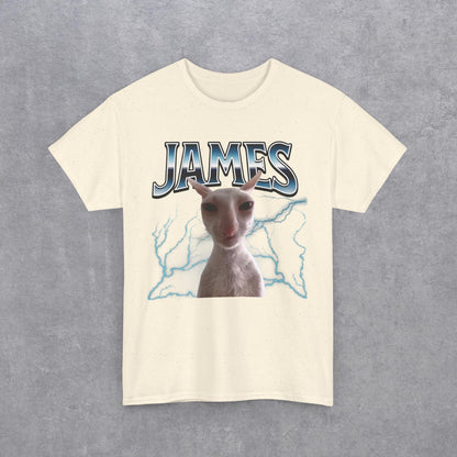 James Funny Cat Meme T-Shirt