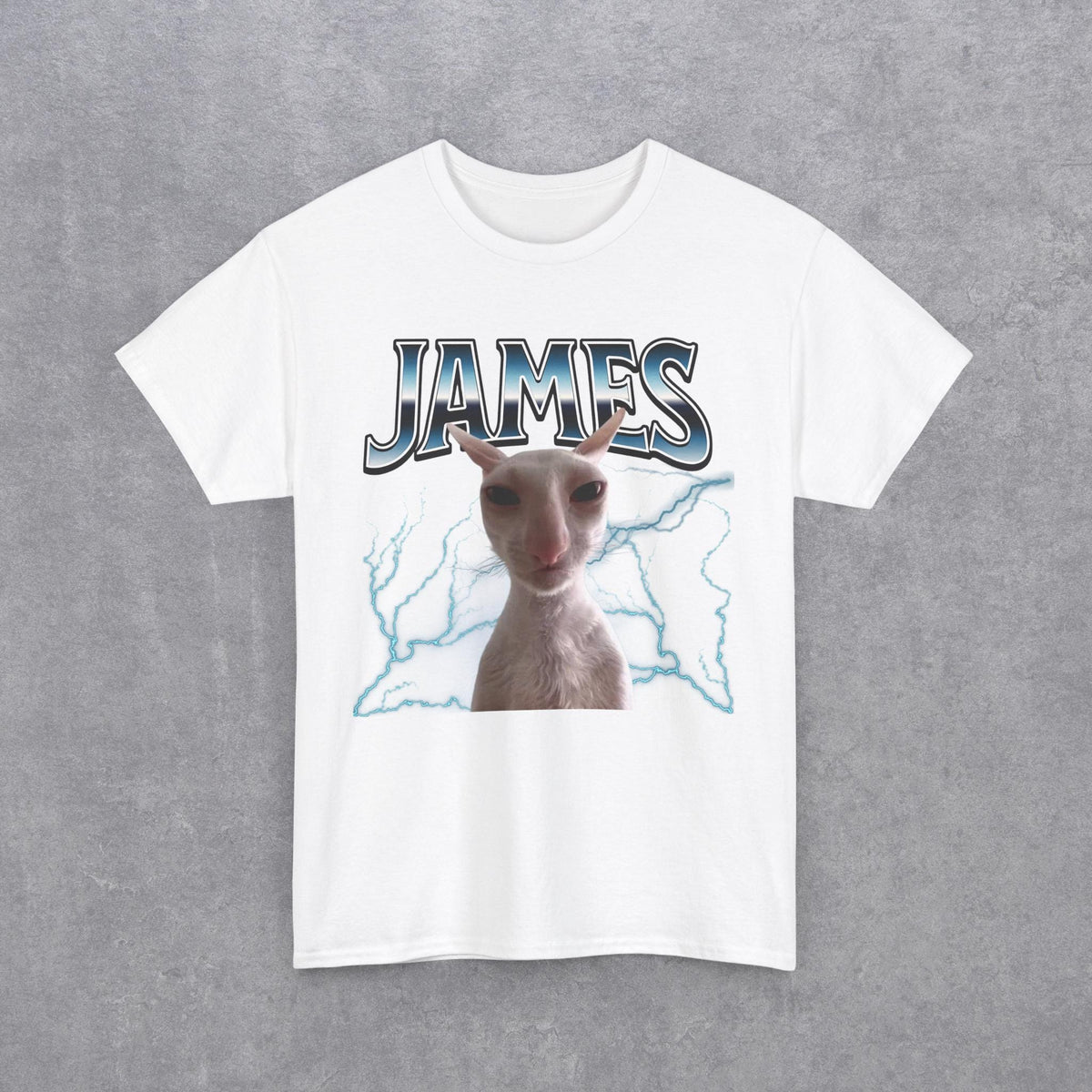 James Funny Cat Meme T-Shirt
