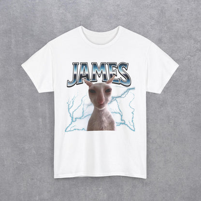 James Funny Cat Meme T-Shirt
