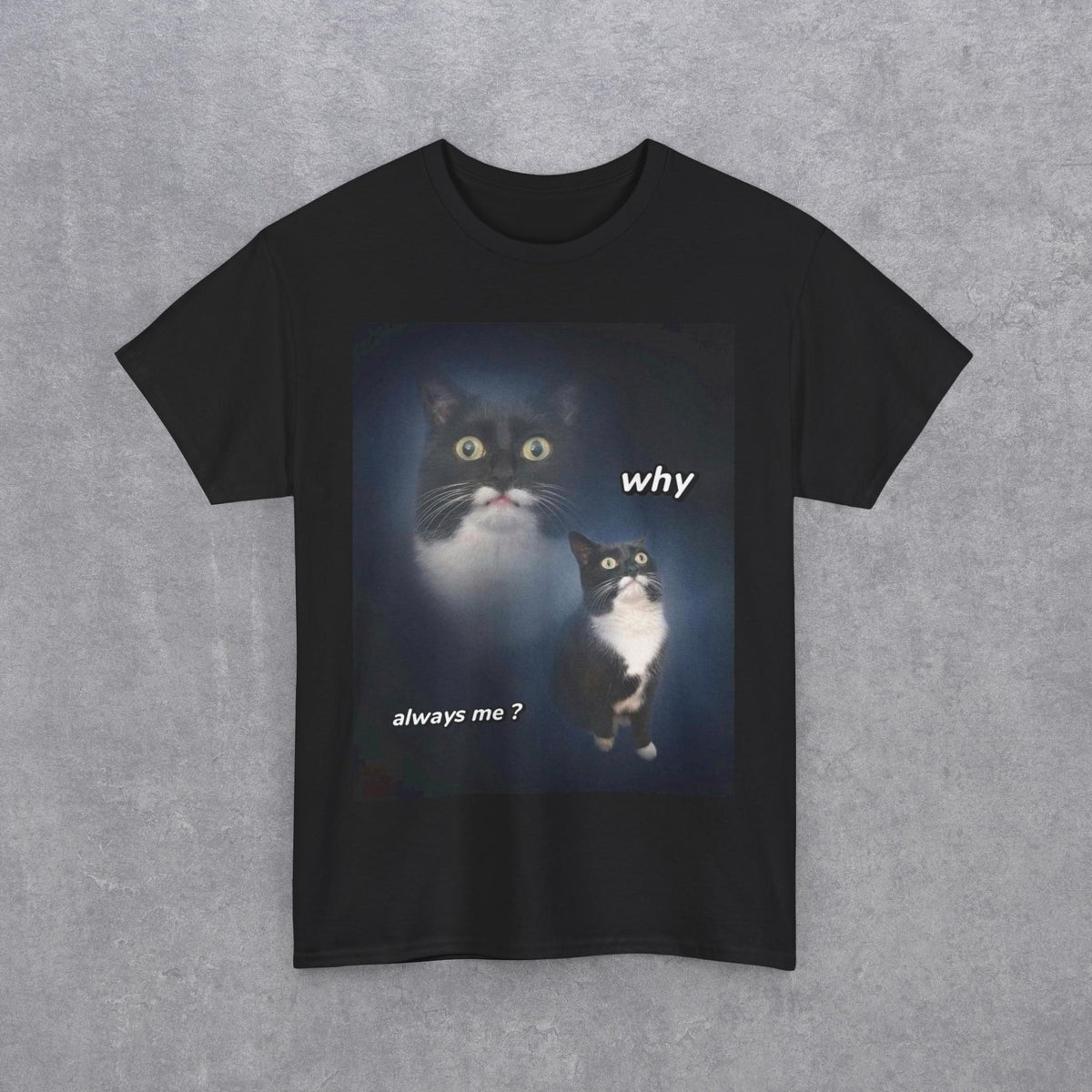 Funny Cat Meme "Why Always Me?" T-Shirt