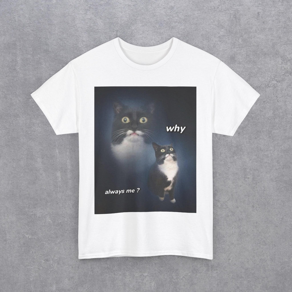 Funny Cat Meme "Why Always Me?" T-Shirt