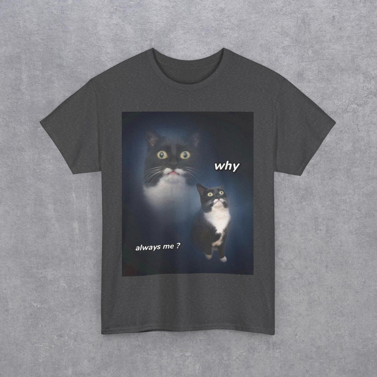 Funny Cat Meme "Why Always Me?" T-Shirt