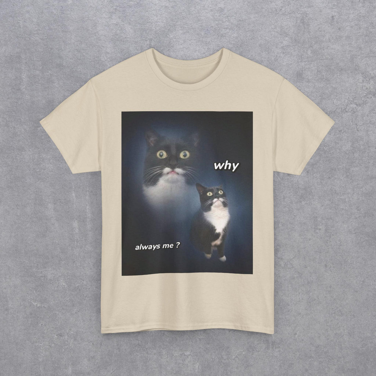 Funny Cat Meme "Why Always Me?" T-Shirt