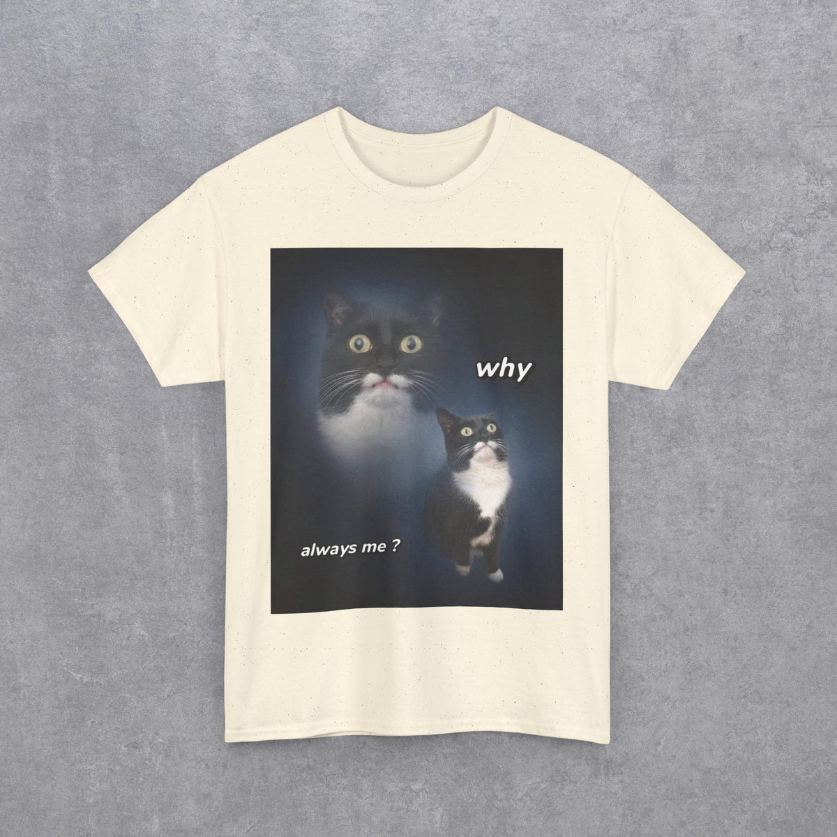 Funny Cat Meme "Why Always Me?" T-Shirt