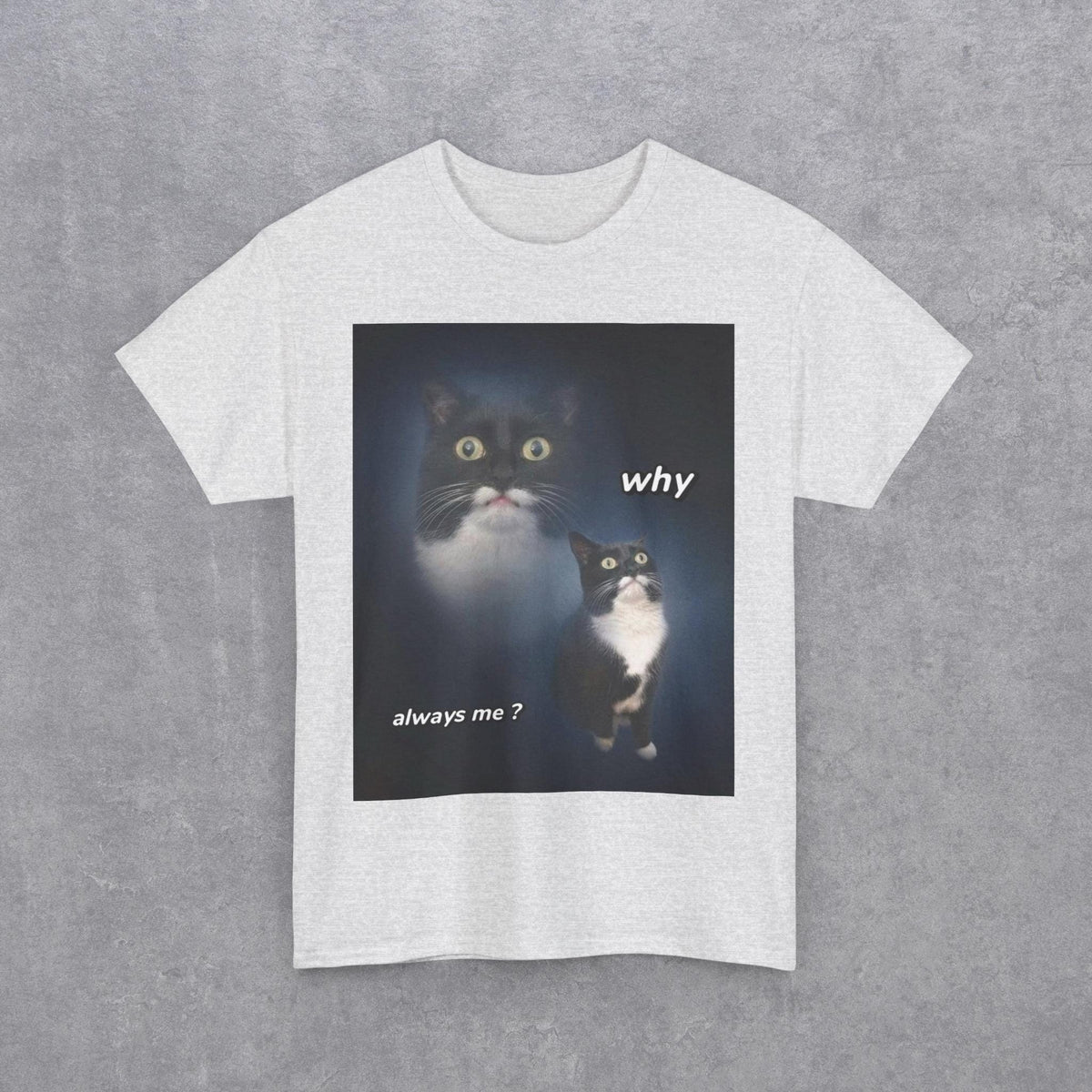 Funny Cat Meme "Why Always Me?" T-Shirt