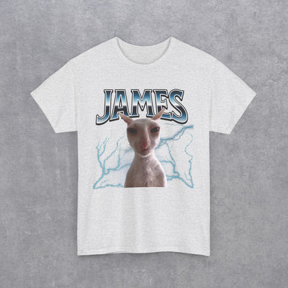 James Funny Cat Meme T-Shirt