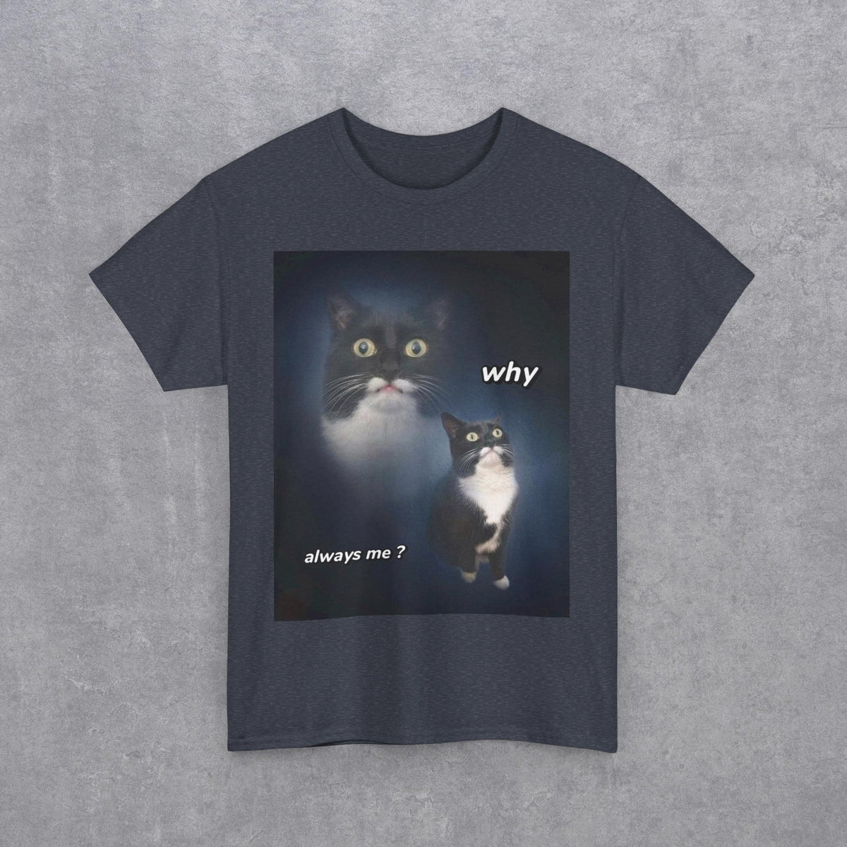 Funny Cat Meme "Why Always Me?" T-Shirt