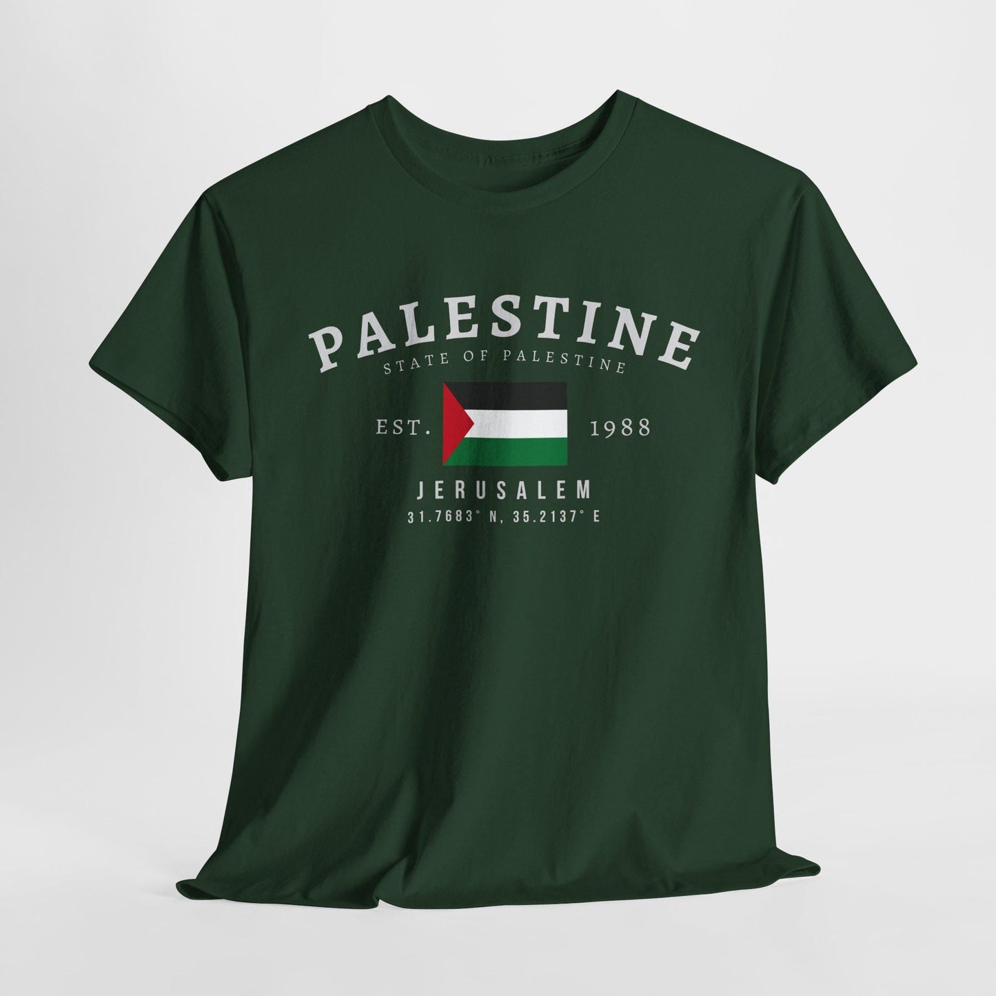 Palestine Unisex T-Shirt, فلسطين Flag Tee, Vintage Ramallah Graphic Shirt, Middle Eastern Streetwear Tee, Oversized Palestinian Pride Tee