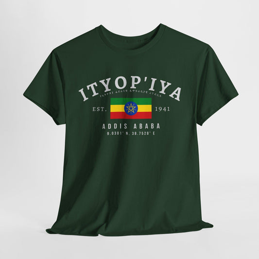 Ethiopia Unisex T-Shirt, Ethiopian Flag Tee, Vintage Addis Ababa Shirt, Horn of Africa Streetwear, Oversized Ethiopia Pride Tee