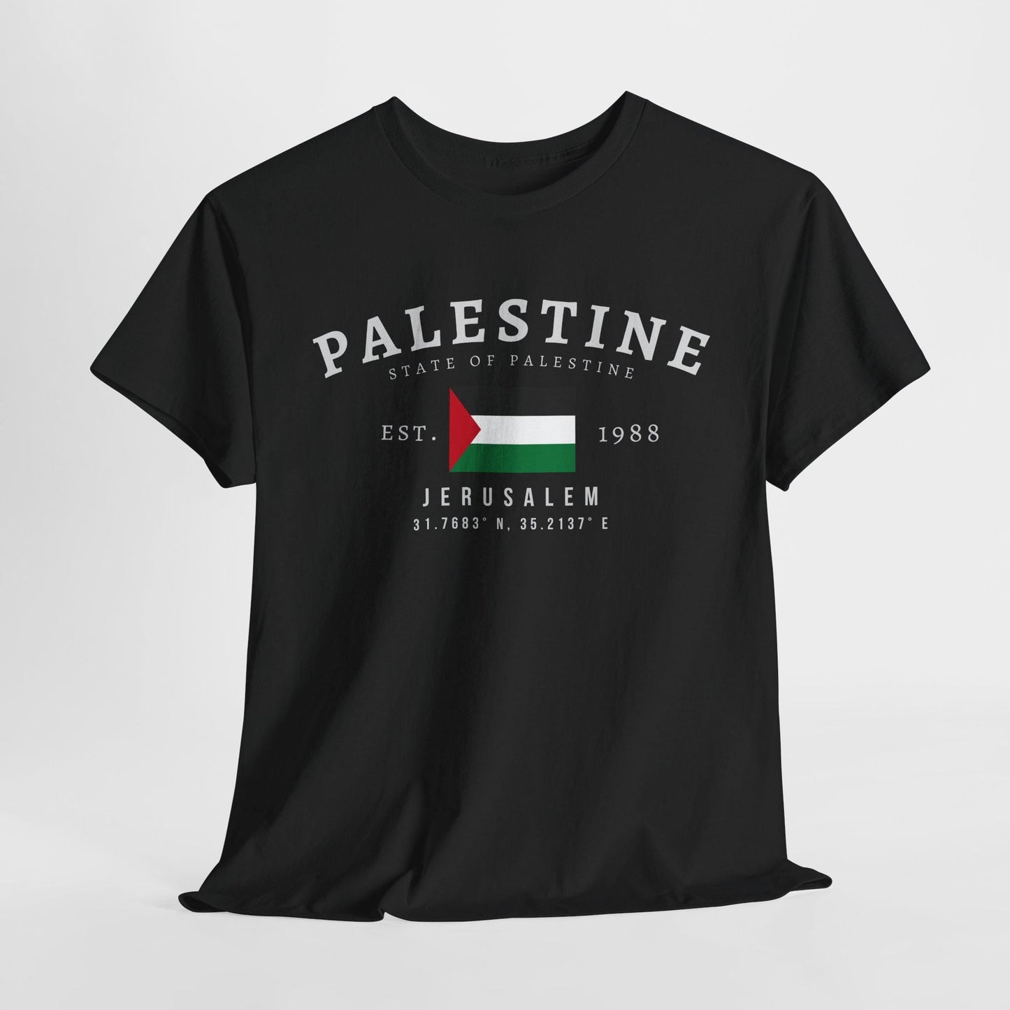 Palestine Unisex T-Shirt, فلسطين Flag Tee, Vintage Ramallah Graphic Shirt, Middle Eastern Streetwear Tee, Oversized Palestinian Pride Tee