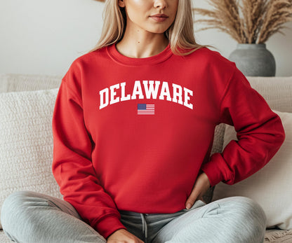 Delaware Sweatshirt