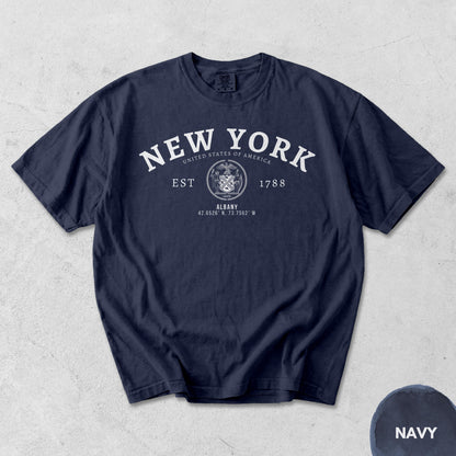 Albany NY T-Shirt