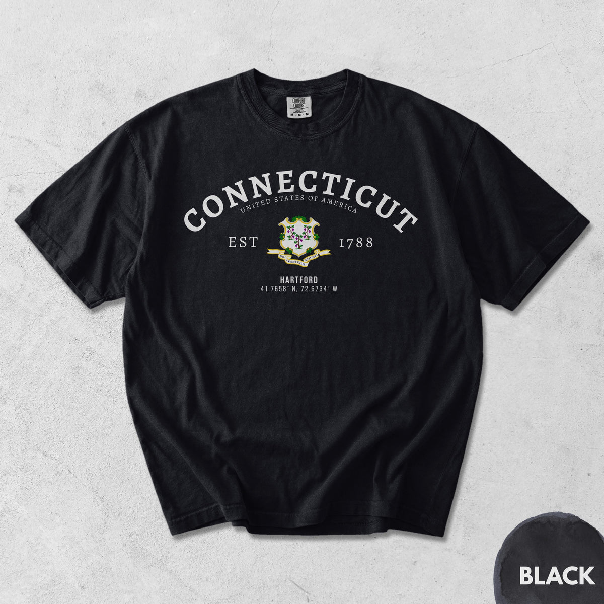 Connecticut T-Shirt
