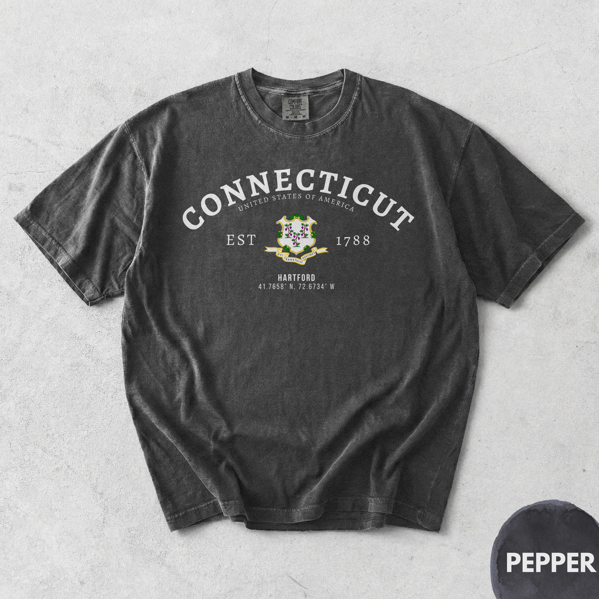 Connecticut T-Shirt
