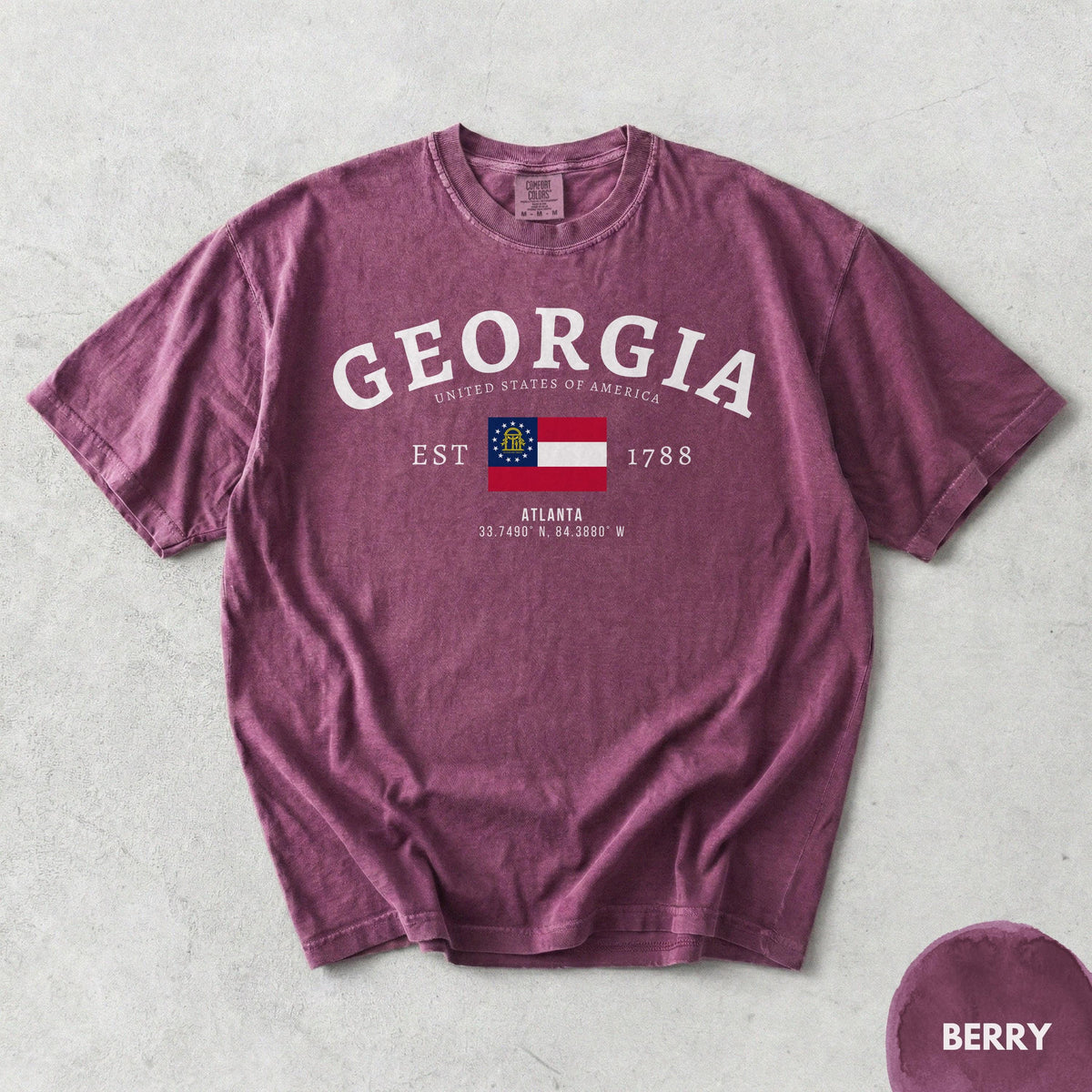 Georgia State Shirt