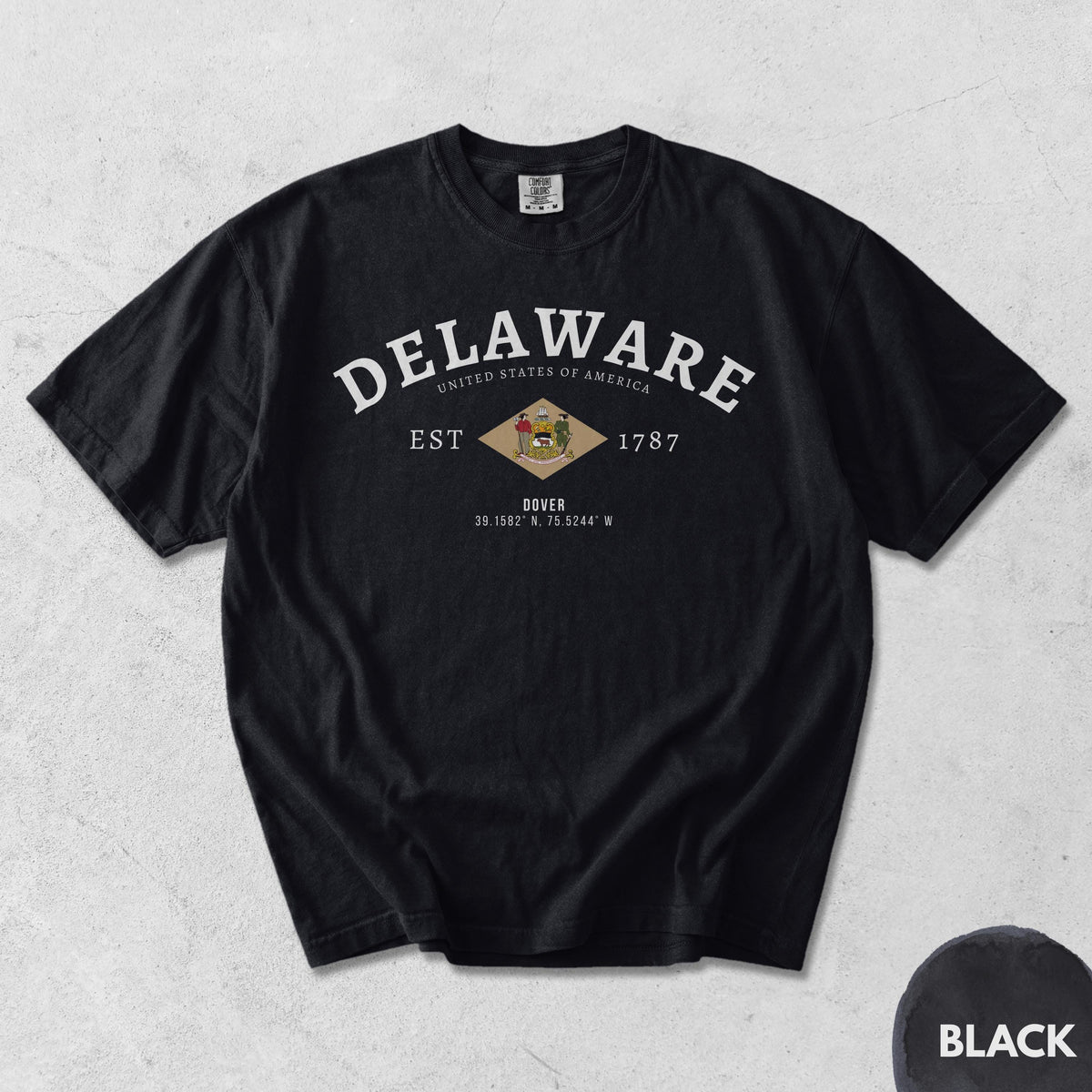 Delaware T-Shirt