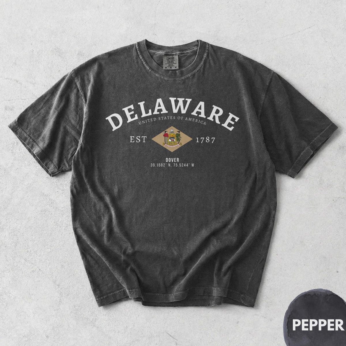 Delaware T-Shirt