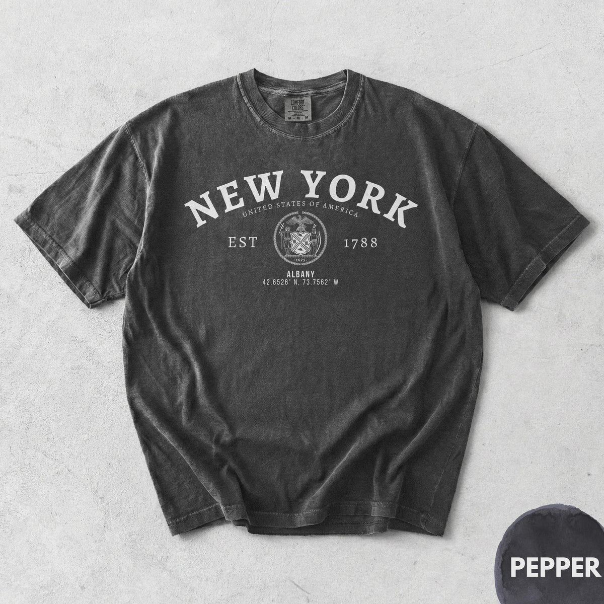 Albany NY T-Shirt