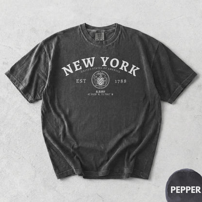 Albany NY T-Shirt
