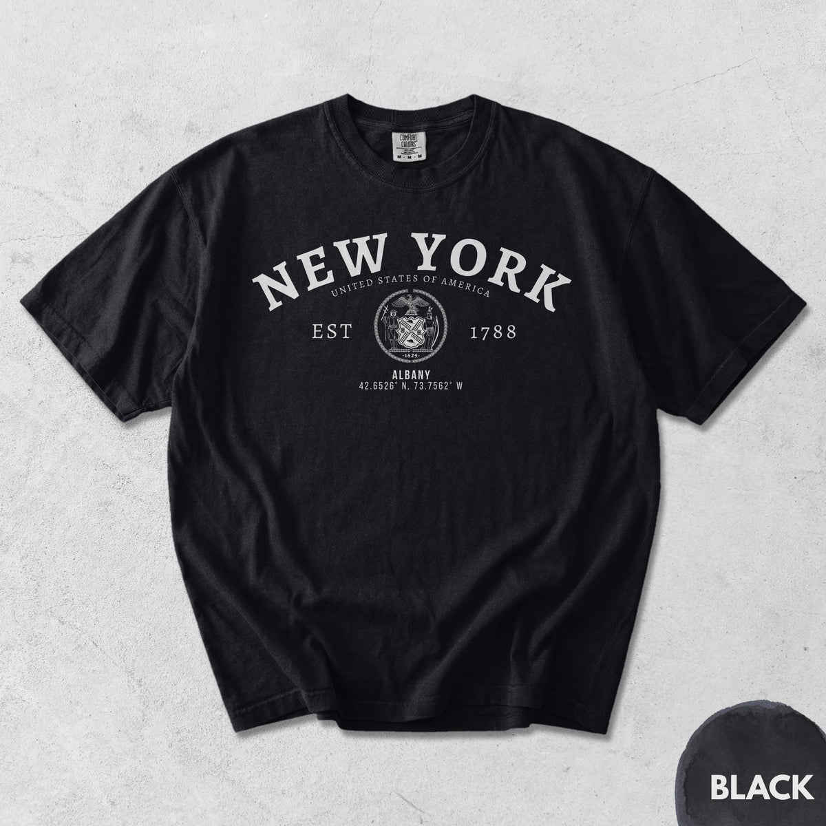 Albany NY T-Shirt