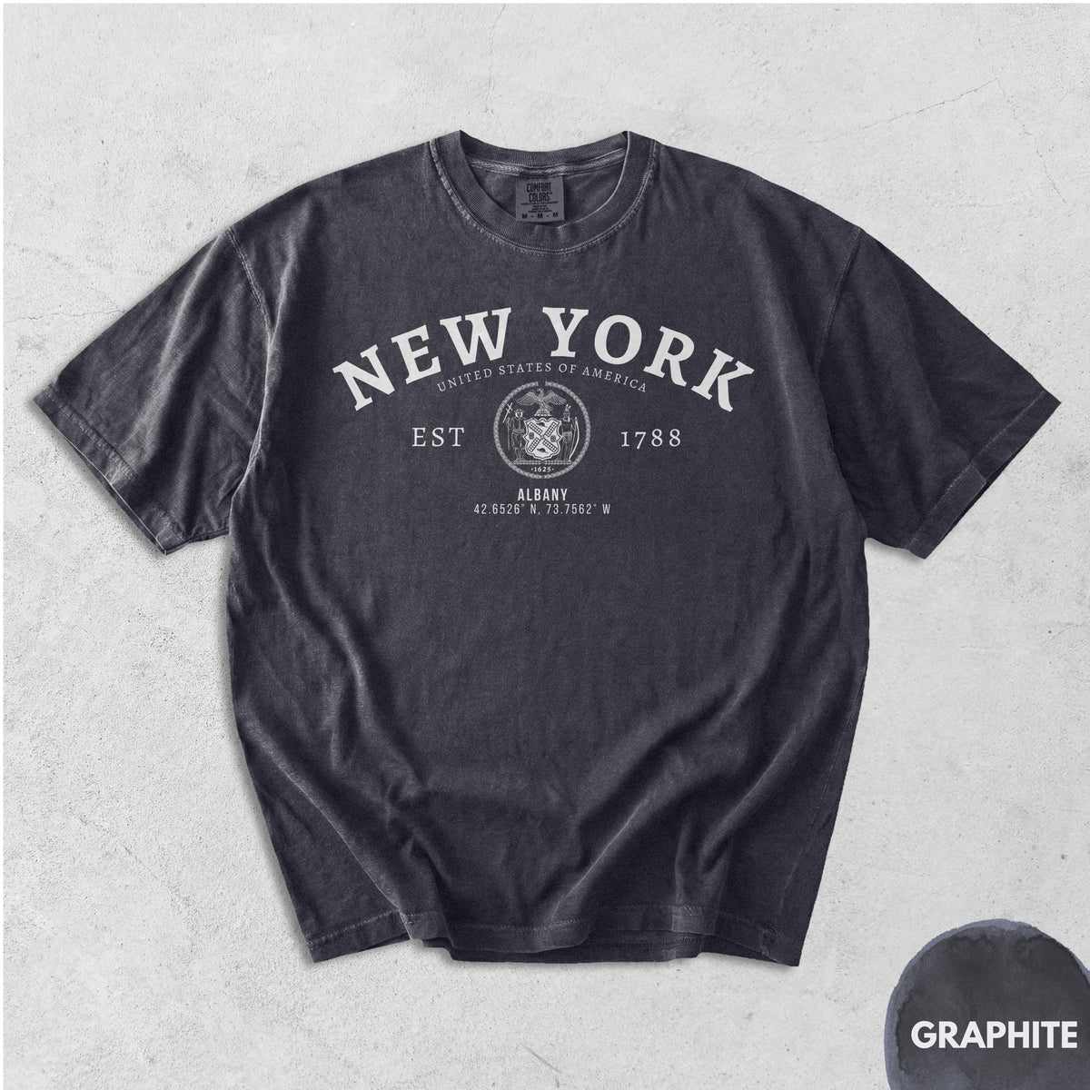 Albany NY T-Shirt