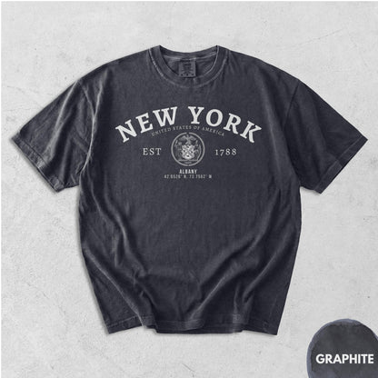 Albany NY T-Shirt