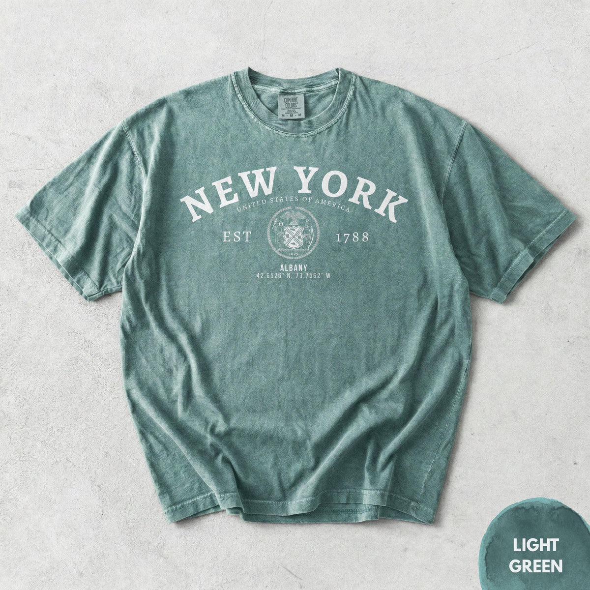 Albany NY T-Shirt