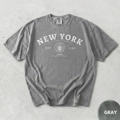 Albany NY T-Shirt